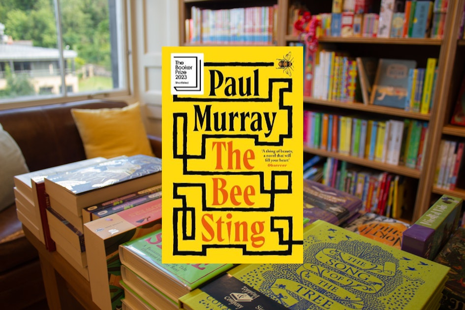 The Bee Sting by Paul Murray