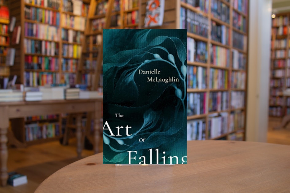The Art of Falling by Danielle McLaughlin